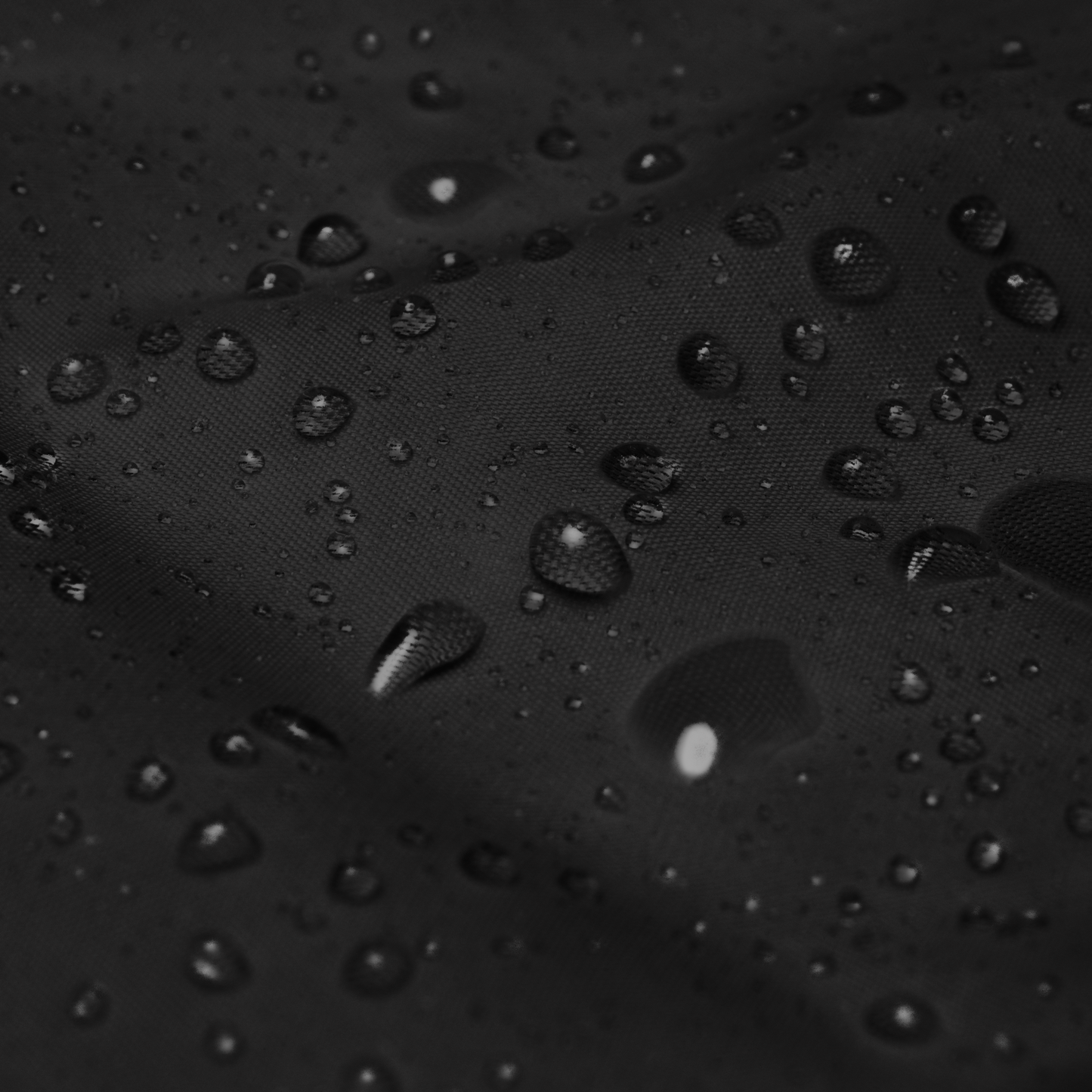 Basic Windbreaker | Black